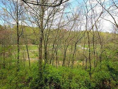 View. golf course view #16 Scotsdale