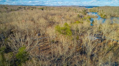 0 Beach Rd unit RTC2986615, Spring City, TN 37381 - photo 3