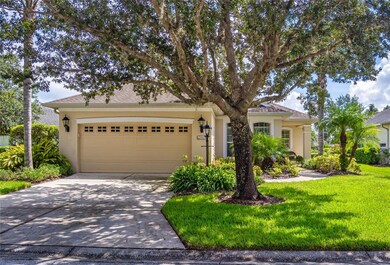 Shady Front Yard