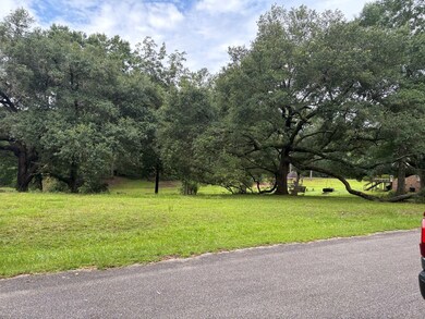 13 Pocahontas Ln, Carriere, MS 39426 - photo 5