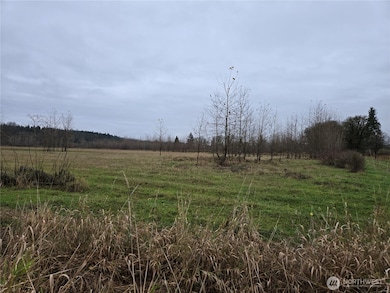 255 XX NE 138th St, Duvall, WA 98019 - photo 4