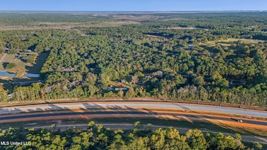 10305 Highway 57, Vancleave, MS 39565 - photo 5