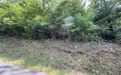 Additional View