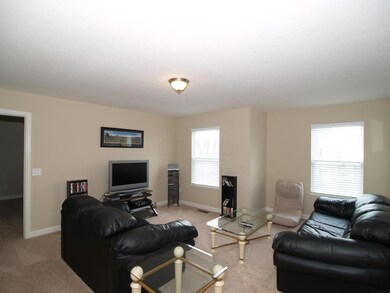 Game Room/Rec Room