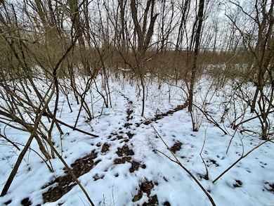 0 N Summerhill Dr unit 1, Niles Township, IN 47320 - photo 6