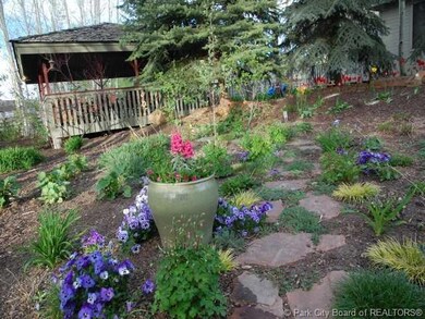 Yard/Garden.
