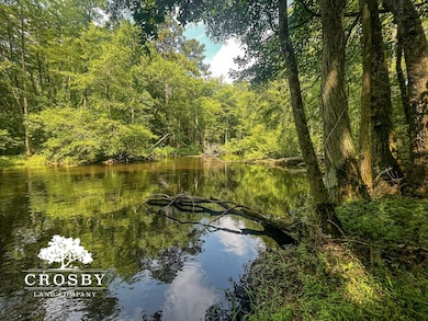 0 Spring Hill Rd, Red Springs, NC 28377 - photo 2