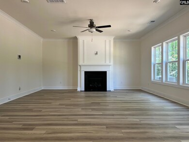 1019 Beaufort Farm Rd, Blythewood, SC 29016 - photo 7