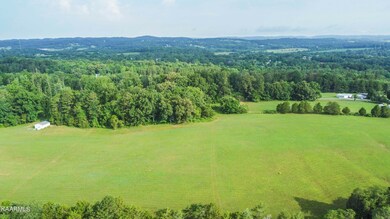 DJI_0352_1