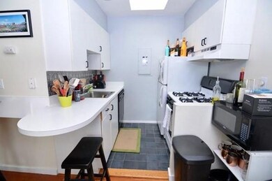 21 Telegraph St unit 3, Boston, MA 02127 - photo 4