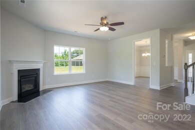 218 Wedge View Way unit 6904, Statesville, NC 28677 - photo 5