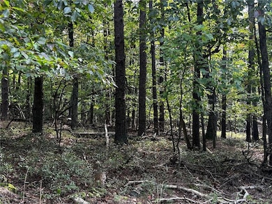 00 Elk Ct, Jasper, GA 30143 - photo 3