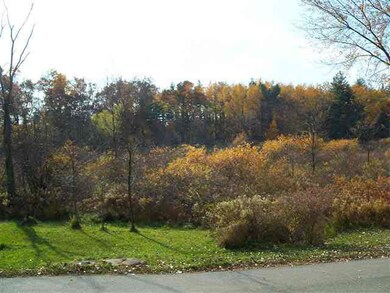 6710 W South Lake Gage Dr, Angola, IN 46703 - photo 5