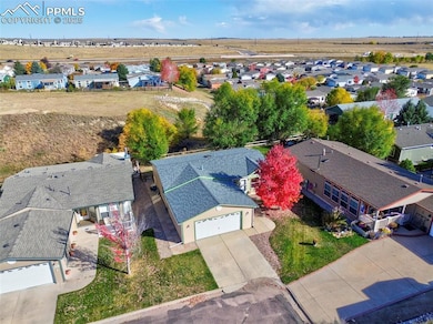 7711 Grizzly Bear Point, Colorado Springs, CO 80922 - photo 3