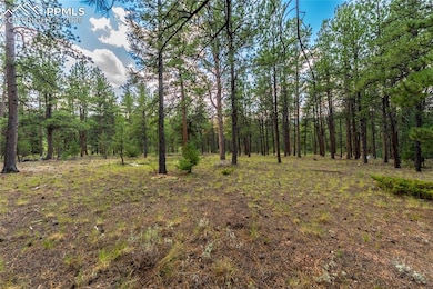 29507 N Highway 67, Woodland Park, CO 80863 - photo 3