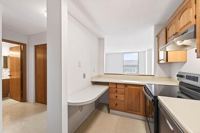 Kenwood Isles unit 303, Minneapolis, MN 55408 - photo 5