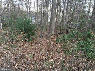 1123 Atlantic Dr, Stafford, VA 22554 - photo 3