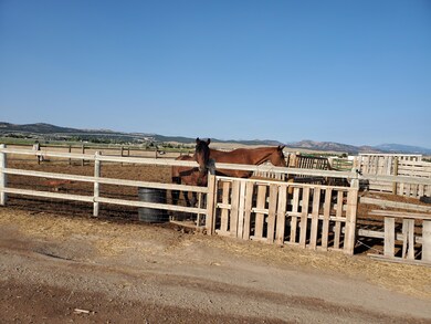 Steele Way Horses