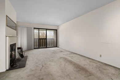 1-web-or-mls-DSC03690