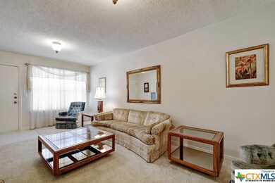 829 Old Ranch Road 12, San Marcos, TX 78666 - photo 5