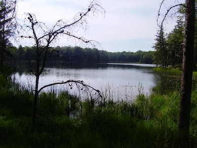 View # 5 Cranberry Lake