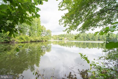 13 Merrimac Cove, Ruther Glen, VA 22546 - photo 3