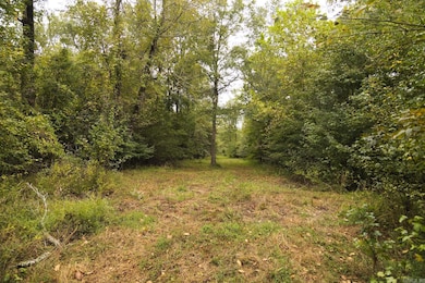 TBD Forrest Rd Fields, Malvern, AR 72104 - photo 6