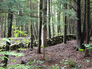 8-1-B Butterfield Hill Rd, Westmoreland, NH 03467 - photo 2