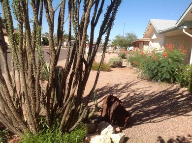 Front yard