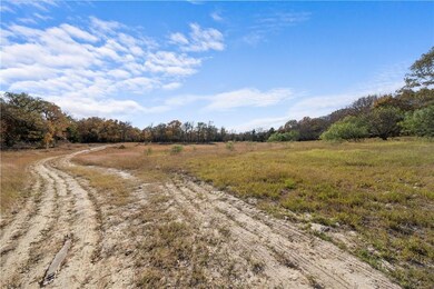 3095 Carter Rd, Springtown, TX 76082 - photo 4