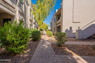 3640 N 38th St unit 204, Phoenix, AZ 85018 - photo 4