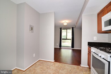 2069 Royal Fern Ct unit 1B, Reston, VA 20191 - photo 4