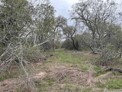 141 N Eskew Ln, Wyldwood, TX 78612 - photo 2