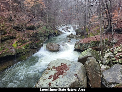 30 Ssr Dr, Pikeville, TN 37367 - photo 6