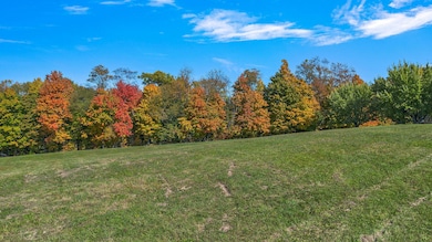 55-web-or-mls-DJI_0747