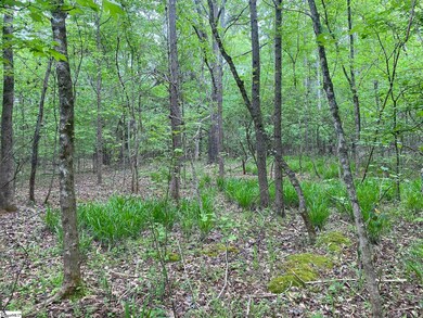 00 Wingo Rd, Wellford, SC 29385 - photo 4