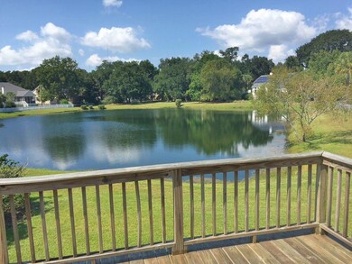 1549 Carolina Jasmine pond view jpg