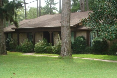 25719 Fish Rd, Magnolia, TX 77355 - photo 2