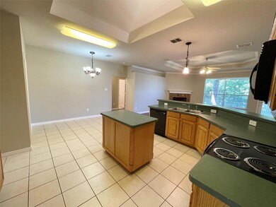 2222 Creek Side Dr, Weatherford, TX 76087 - photo 6