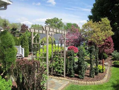 Yard/Garden