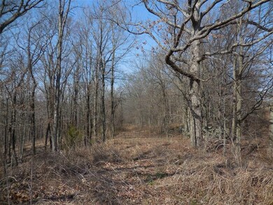 12475 Devils Den Rd, Winslow, AR 72959 - photo 6