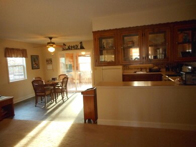 4109 Casey Rd Forsyth MO 65653 (11)