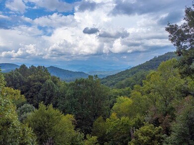 831 Forest Run Rd, Whittier, NC 28789 - photo 3