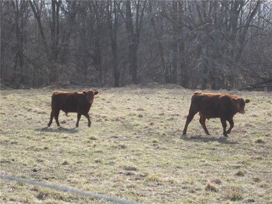 251 W Henry Rd, Kirklin, IN 46050 - photo 7