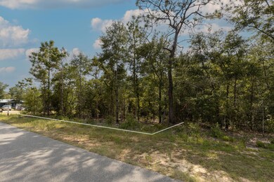 Facing Lot with boundary