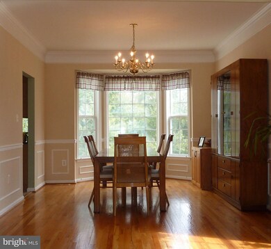 14423 Big Bear Ct, Silver Spring, MD 20906 - photo 4