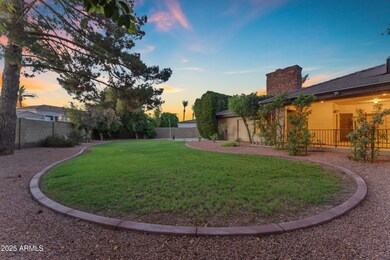 Twilight BackYard