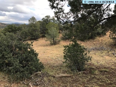 0 Xyz Ranch Rd unit Corner of XYZ and Oa, Silver City, NM 88061 - photo 5