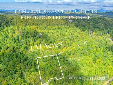 000 Deep Gap Farm Dr unit 237-2021, Mill Spring, NC 28756 - photo 4