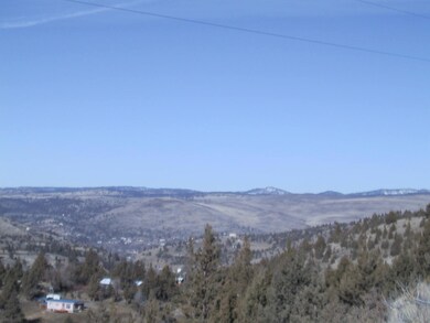 0 Lot 709 Patterson Dr unit 220104621, Canyon City, OR 97820 - photo 4